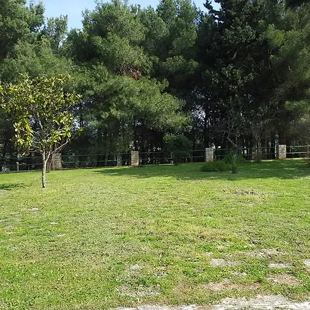 Masseria Del Marchese *